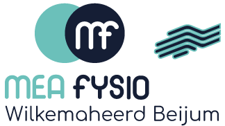 meafysio_wilkemaheerd_beijum_logo.png